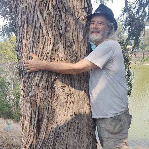 Cover art for Tree to Hug